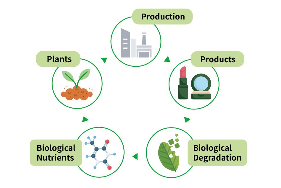 生物可分解是環保零塑膠植物纖維美妝外殼的永續特性 